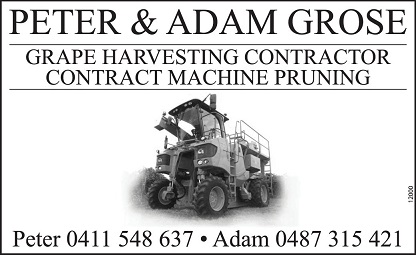 business title image