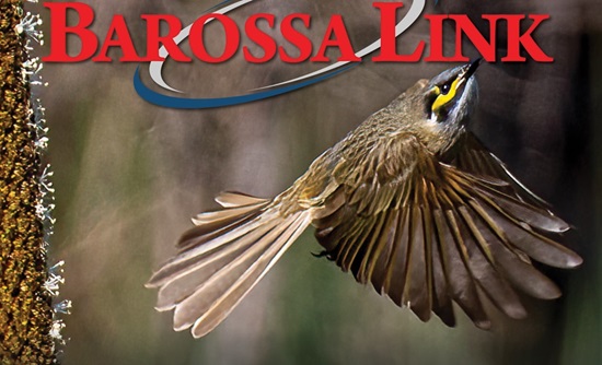 business title image